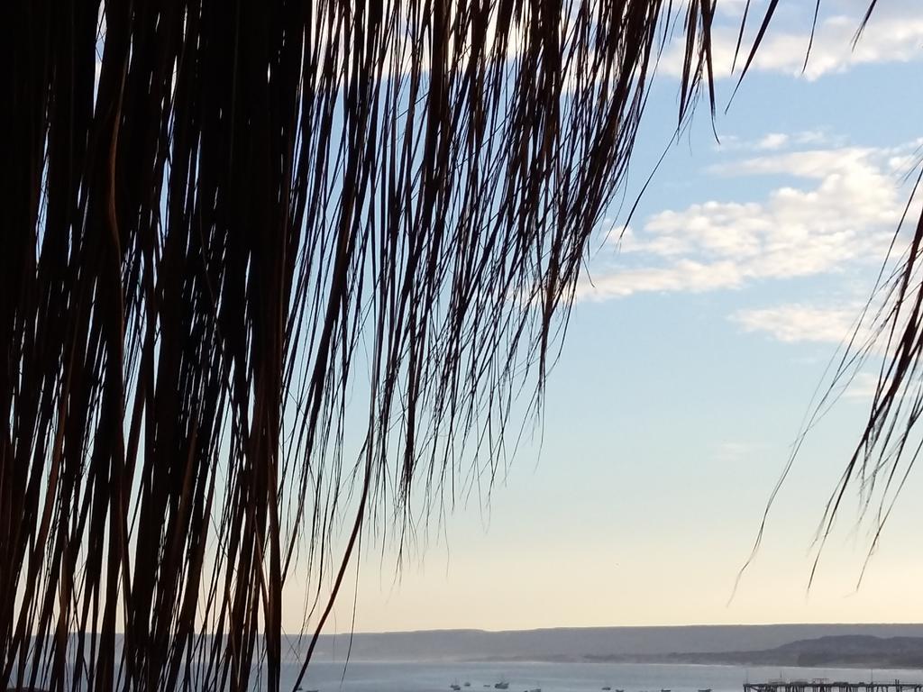 Lapa Lapa Lobitos Bungalows Otel Dış mekan fotoğraf