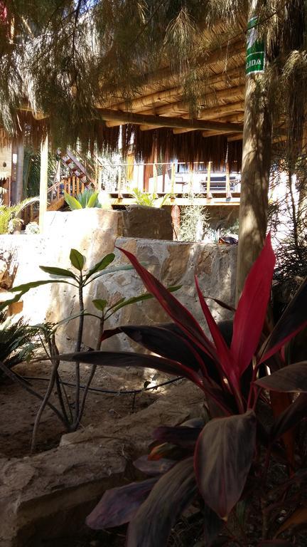 Lapa Lapa Lobitos Bungalows Otel Dış mekan fotoğraf